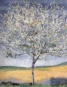 Ferdinand Hodler Cherry tree in bloom Spain oil painting artist